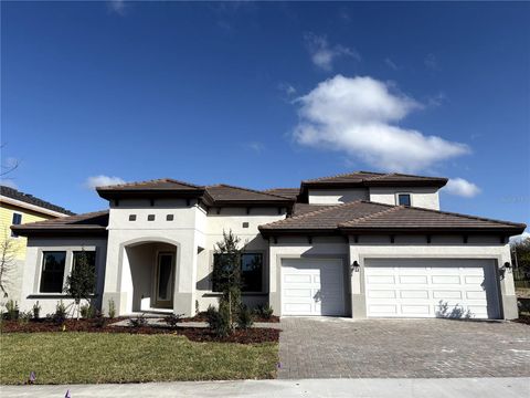 1136 BUCK CREEK COURT BRANDON FL 33511