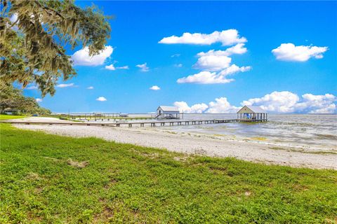 Tiny photo for 12360 E Highway 25, Ocklawaha, FL 32179 (MLS # OM705819)