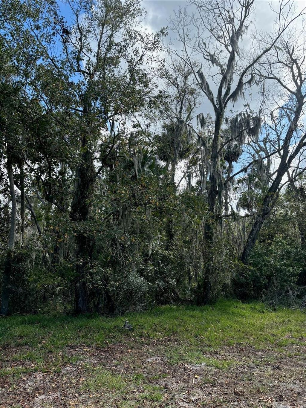 Photo of 0 Kolb Place, Hudson, FL 34667 (MLS # TB8318616)