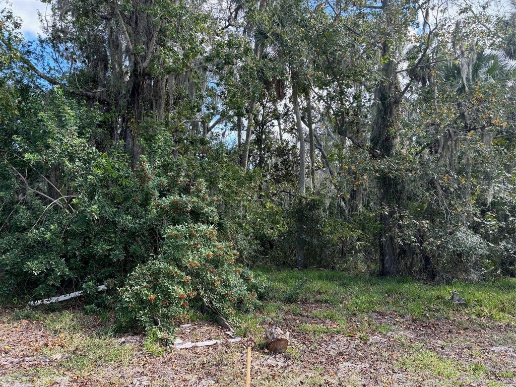 Photo of 0 Kolb Place, Hudson, FL 34667 (MLS # TB8318616)