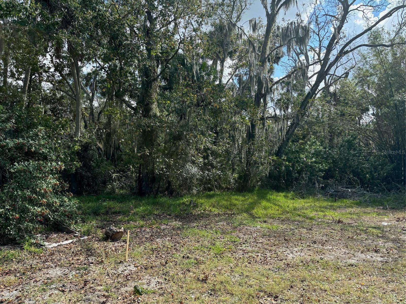 Discover your own piece of Old Florida with this private, half-acre vacant lot, nestled in the enchanting fishing town of Aripeka. Tucked away on a quiet, dead-end street with no direct neighbors, this wooded property offers a sense of seclusion and serenity. Surrounded by lush Florida foliage, this lot is perfect for those seeking a peaceful escape in a setting that captures the essence of Florida's untouched beauty.
Imagine building your dream home or weekend retreat where you can enjoy the gentle sounds of nature and feel worlds away from the hustle and bustle. Aripeka is known for its quaint charm and rich history.