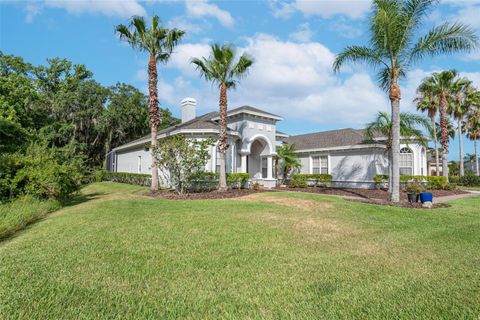 A home in WESLEY CHAPEL