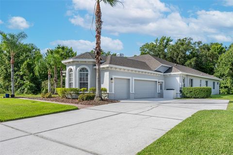 A home in WESLEY CHAPEL