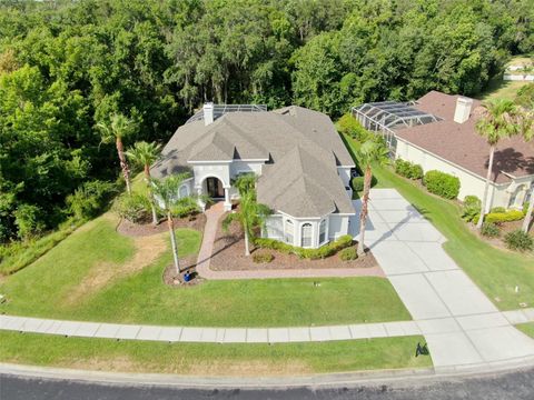 A home in WESLEY CHAPEL