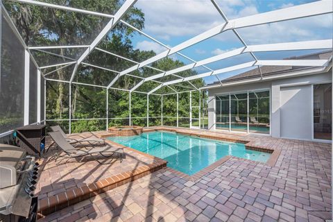 A home in WESLEY CHAPEL