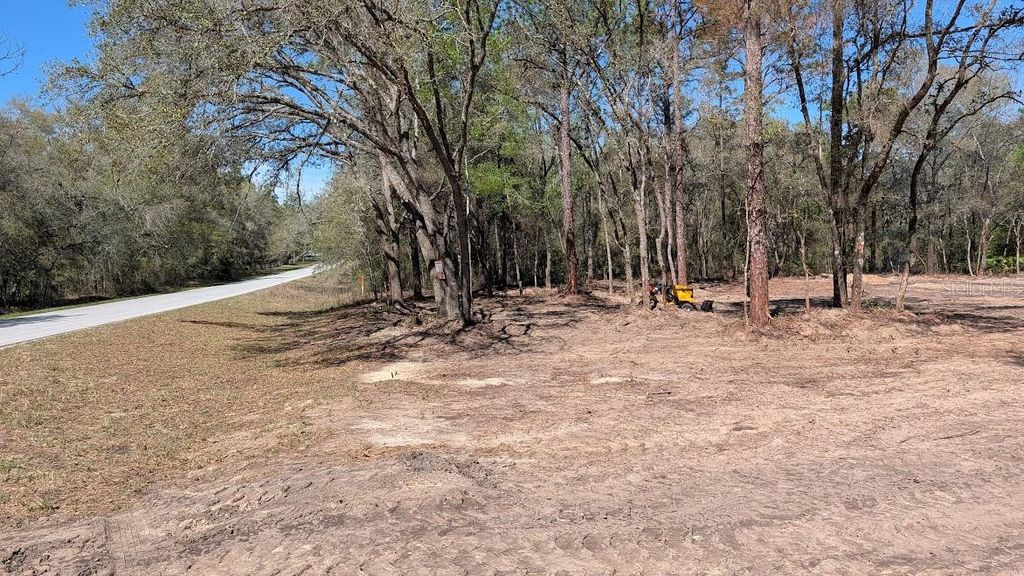 Photo of SW 129th Terrace, Ocala, FL 34481 (MLS # OM721279)