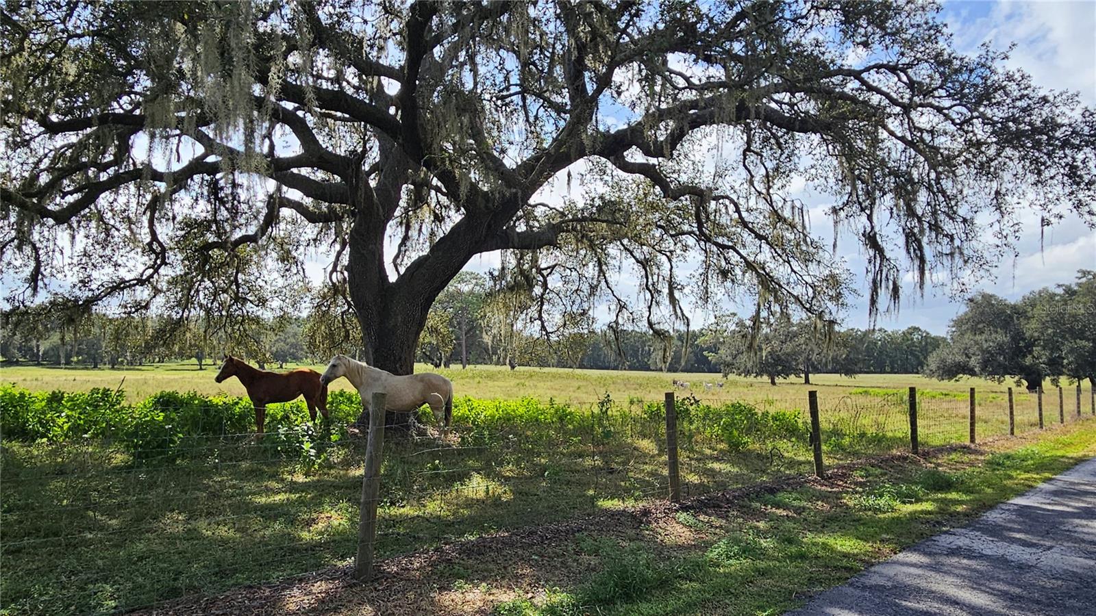 ACREAGE - Residential