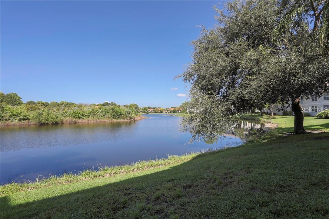 PINESTONE AT PALMER RANCH - Residential Lease