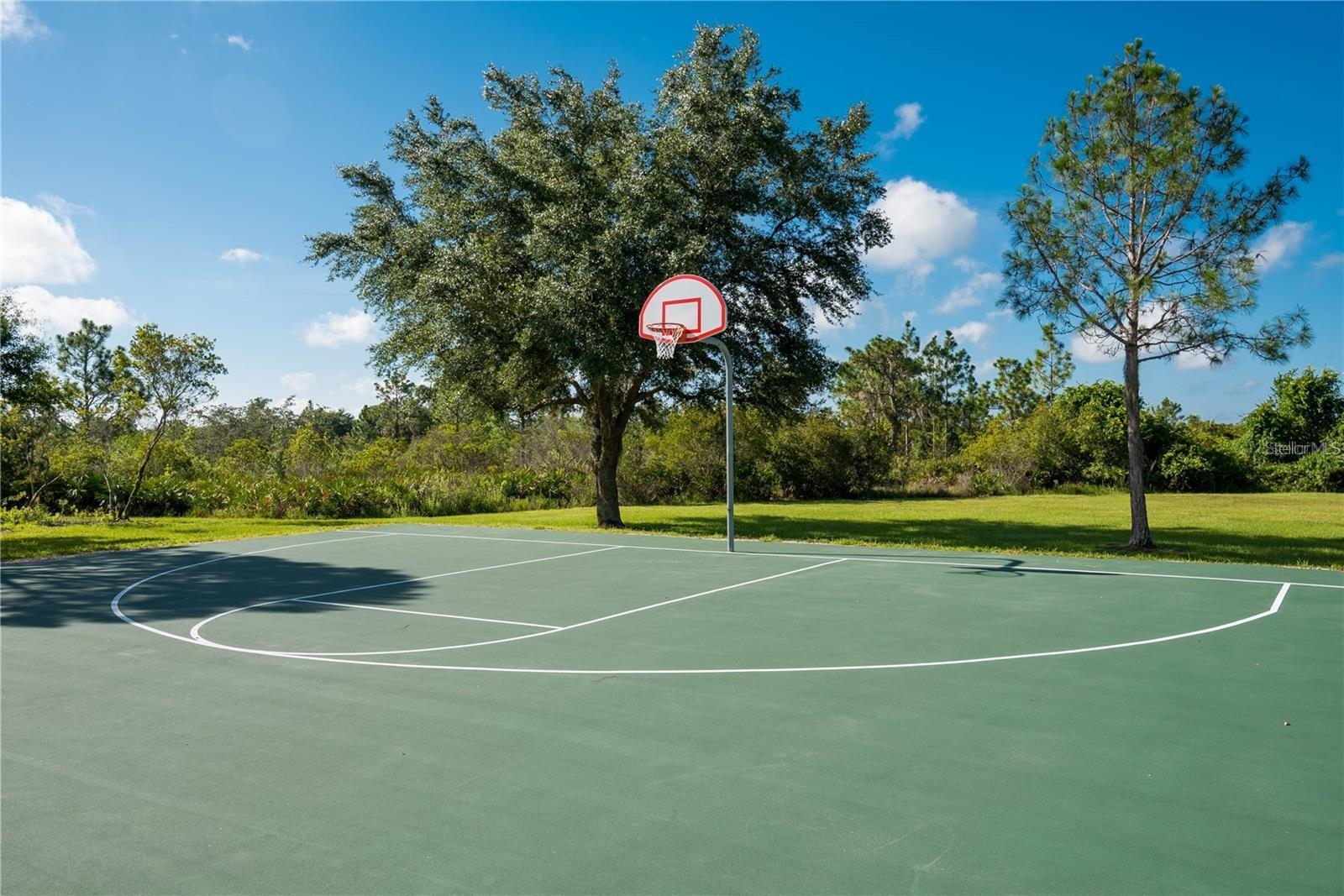 PRESERVE AT PANTHER RIDGE - Residential