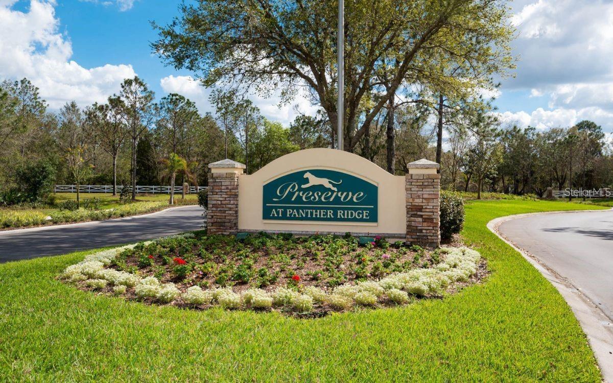 PRESERVE AT PANTHER RIDGE - Residential