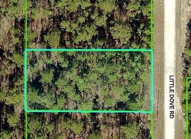 Nestled away in a highly desirable area of the Royal Highlands, this beautiful home site is waiting for you. The location is fantastic, ready to build your dream home on - or hold on to as an investment. Not in a deed restricted community, NO HOA or CDD fees either, and there is no time limit on when you can build. Close to all area amenities such as shopping, schools, dining, entertainment, medical, saltwater fishing in the Gulf and natural freshwater rivers and springs - for those who love the outdoors. Come see this beautiful home site today before it's
gone. If you have any questions, just ask.