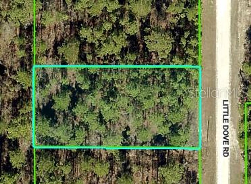 Nestled away in a highly desirable area of the Royal Highlands, this beautiful home site is waiting for you. The location is fantastic, ready to build your dream home on - or hold on to as an investment. Not in a deed restricted community, NO HOA or CDD fees either, and there is no time limit on when you can build. Close to all area amenities such as shopping, schools, dining, entertainment, medical, saltwater fishing in the Gulf and natural freshwater rivers and springs - for those who love the outdoors. Come see this beautiful home site today before it's
gone. If you have any questions, just ask.