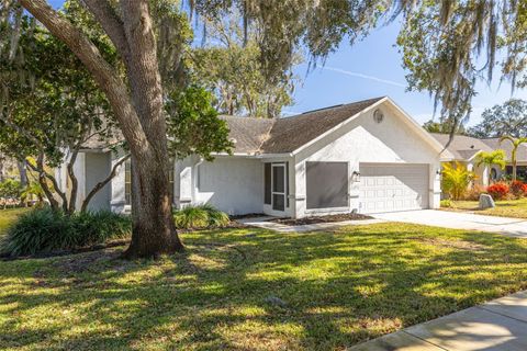 Photo of 3569 Oak Lake Drive, Palm Harbor, FL 34684 (MLS # TB8472815)