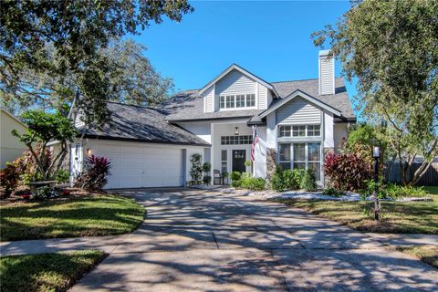 A home in TAMPA