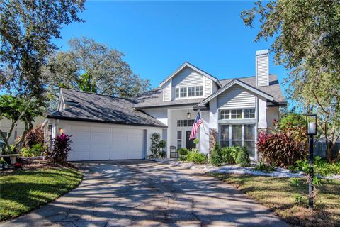 A home in TAMPA