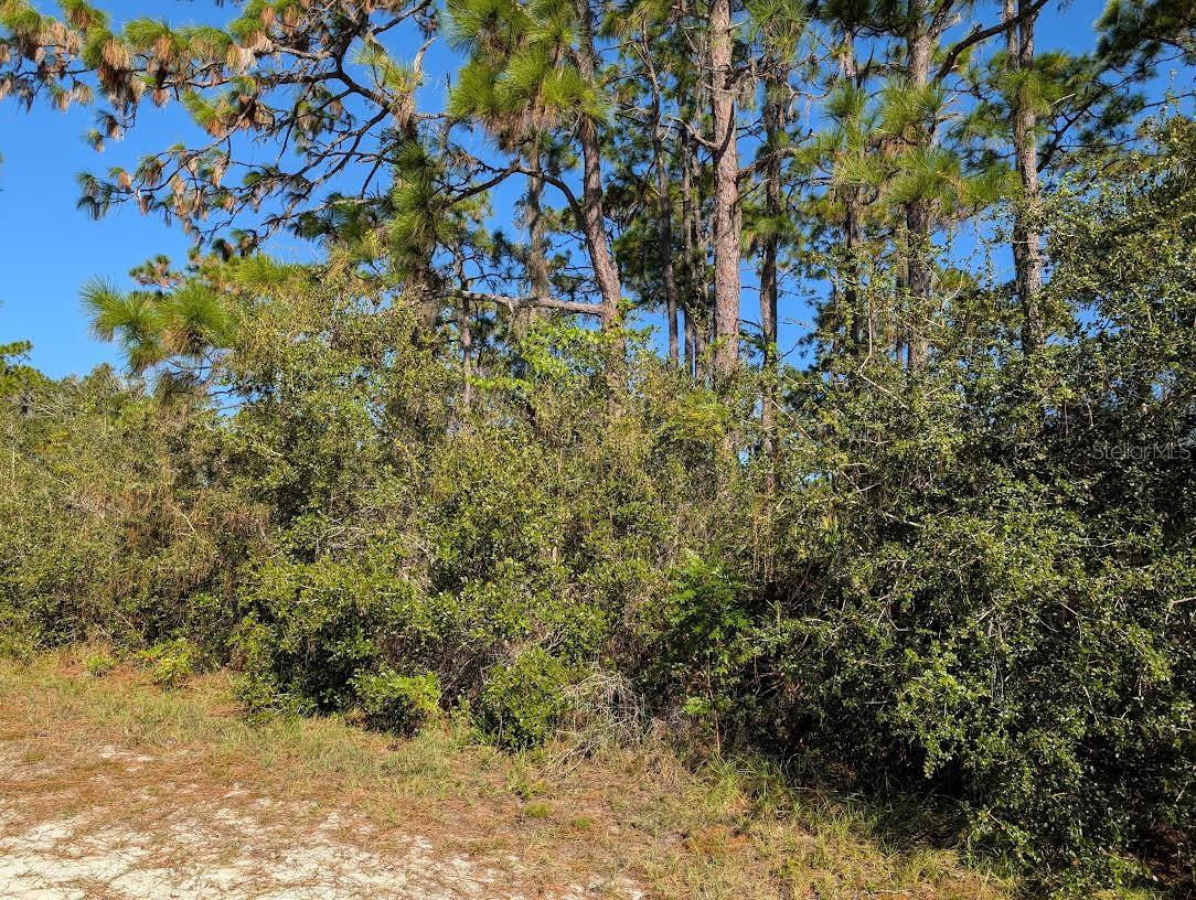 INDIAN LAKE ESTATES - Land