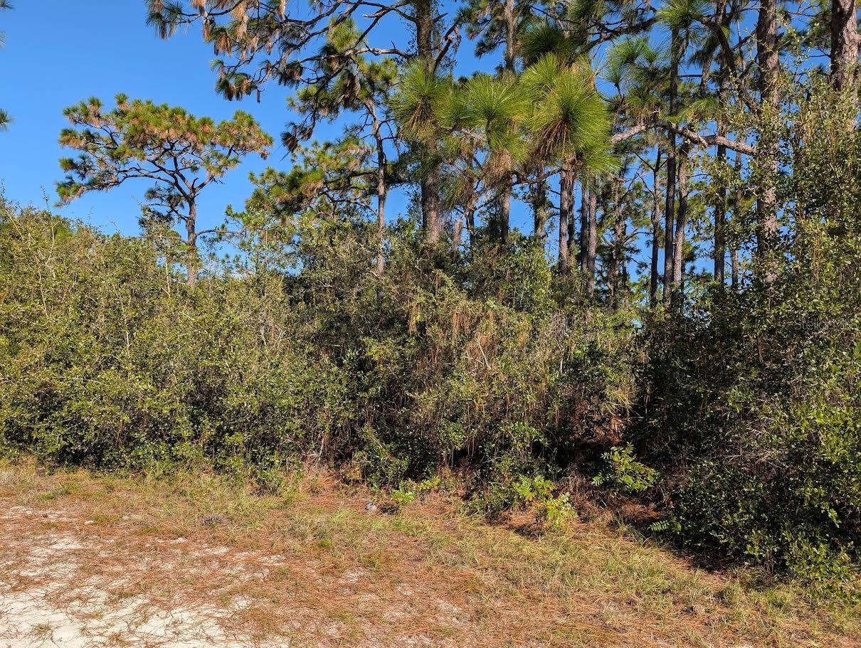 INDIAN LAKE ESTATES - Land