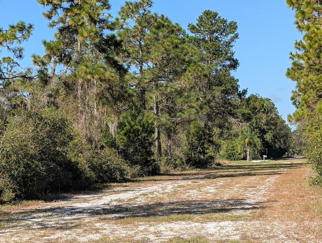 INDIAN LAKE ESTATES - Land