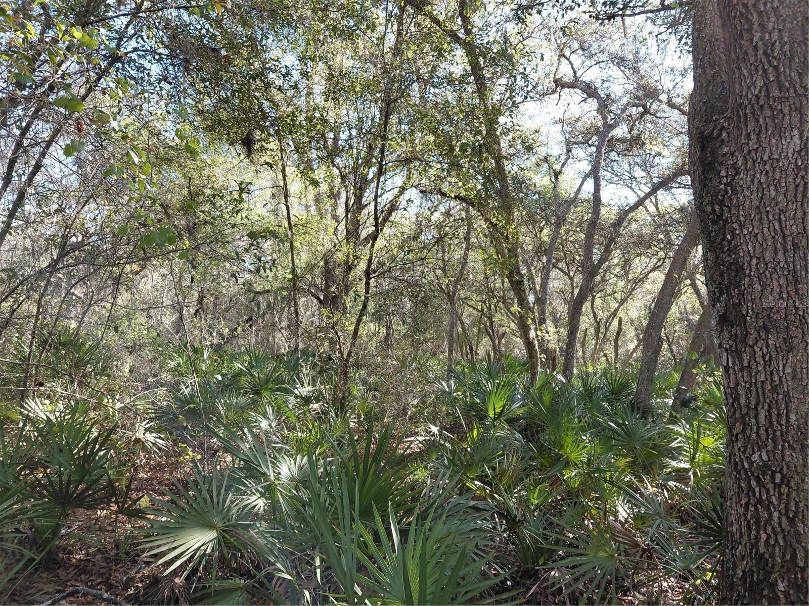 RIDGE MANOR ESTATE - Land