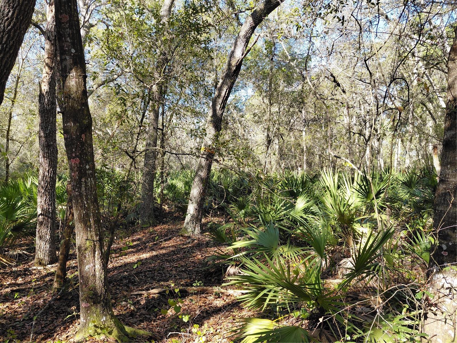 RIDGE MANOR ESTATE - Land