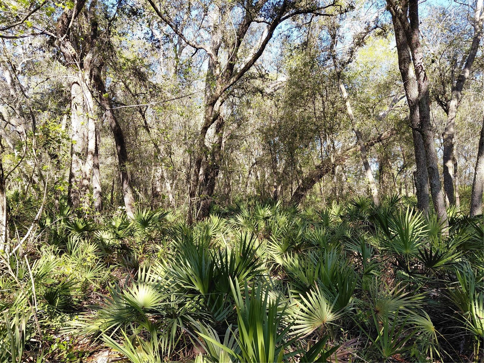 RIDGE MANOR ESTATE - Land