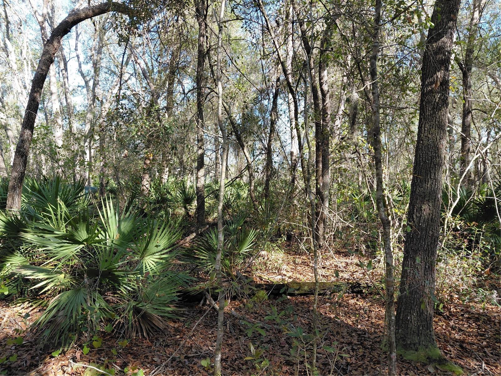 RIDGE MANOR ESTATE - Land