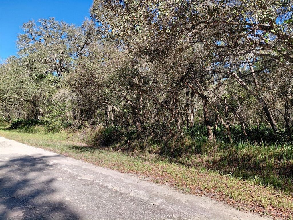 Photo of 36031 Butternut Drive, Webster, FL 33597 (MLS # G5109741)