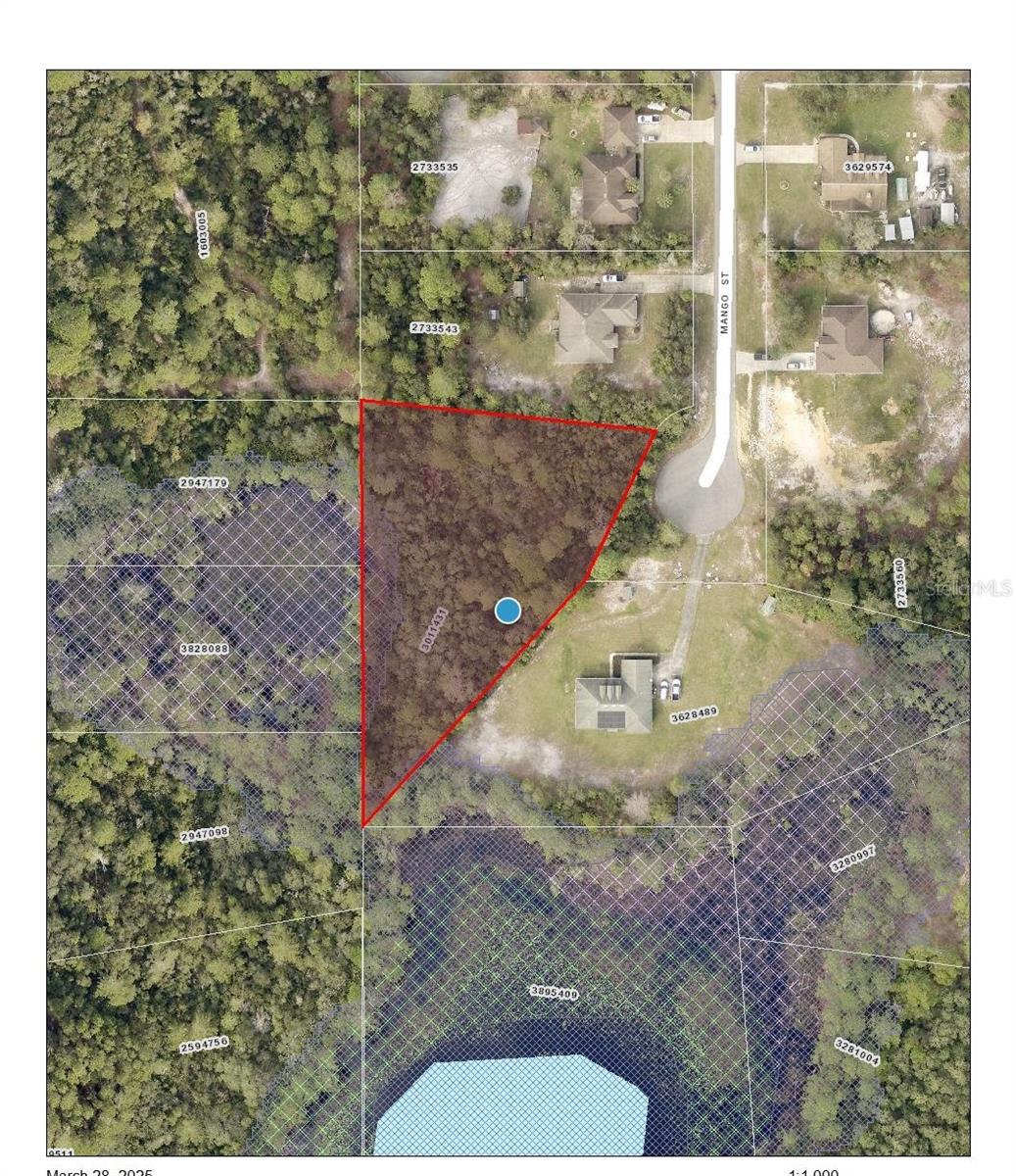 A 1.3-acre cul-de-sac parcel located in the equestrian-friendly community of Royal Trails. With no time limit to build, you can design your custom home, and you’re free to bring your builder. The minimum square footage for construction is 1,200 sq. ft. No manufactured, modular, or mobile homes are allowed by deed restrictions. The Royal Trails community offers deeded access to the beautiful spring-fed Lake Norris, where you can enjoy boating, kayaking, and fishing. There is also a park, playground, a community building, and miles of county-maintained roads perfect for jogging, biking, or walking. The HOA fee is $80 annually, and the zoning allows for 2 horses per 1 acre. It's recommended to obtain a survey to ensure accurate property dimensions. This wonderful North Lake County location provides easy access to parks & forests, 15 minutes to the St. Johns River, a short drive to Historic downtown Mount Dora with quaint shops, restaurants, and many festivals throughout the year, and 1 hour to Florida’s East Coast beaches.