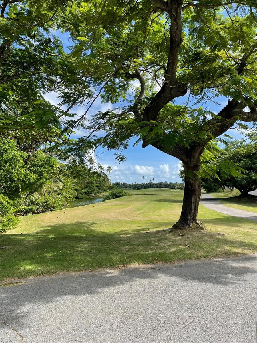 PALMAS DEL MAR - Residential