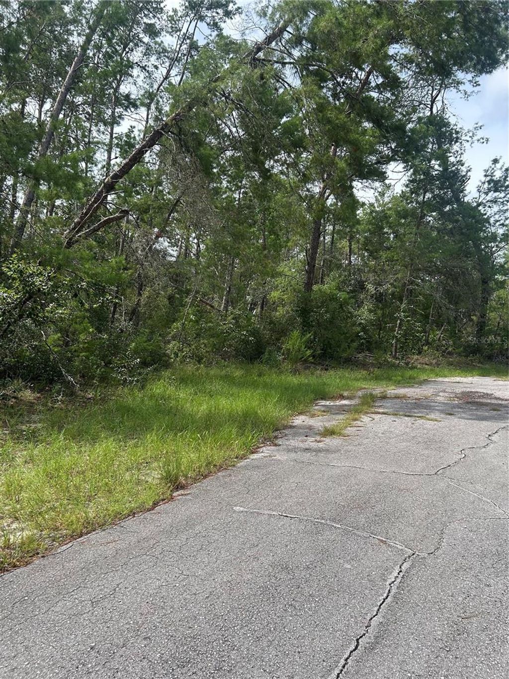 Photo of SW 179th Place, Ocala, FL 34473 (MLS # OM709385)