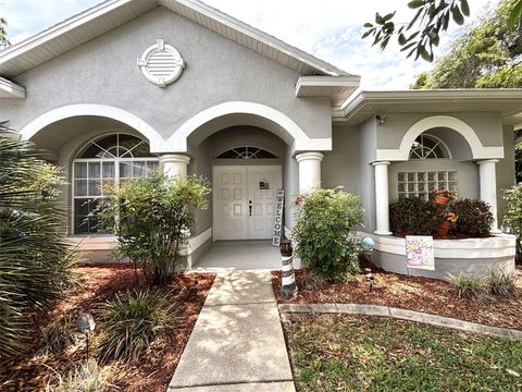 Photo of 66 Lone Pine Street, Homosassa, FL 34446 (MLS # OM723236)