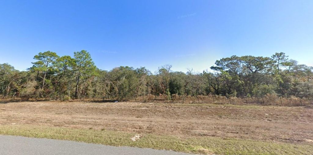 Photo of 5856 S Hilltop Road, Homosassa, FL 34446 (MLS # A4686614)