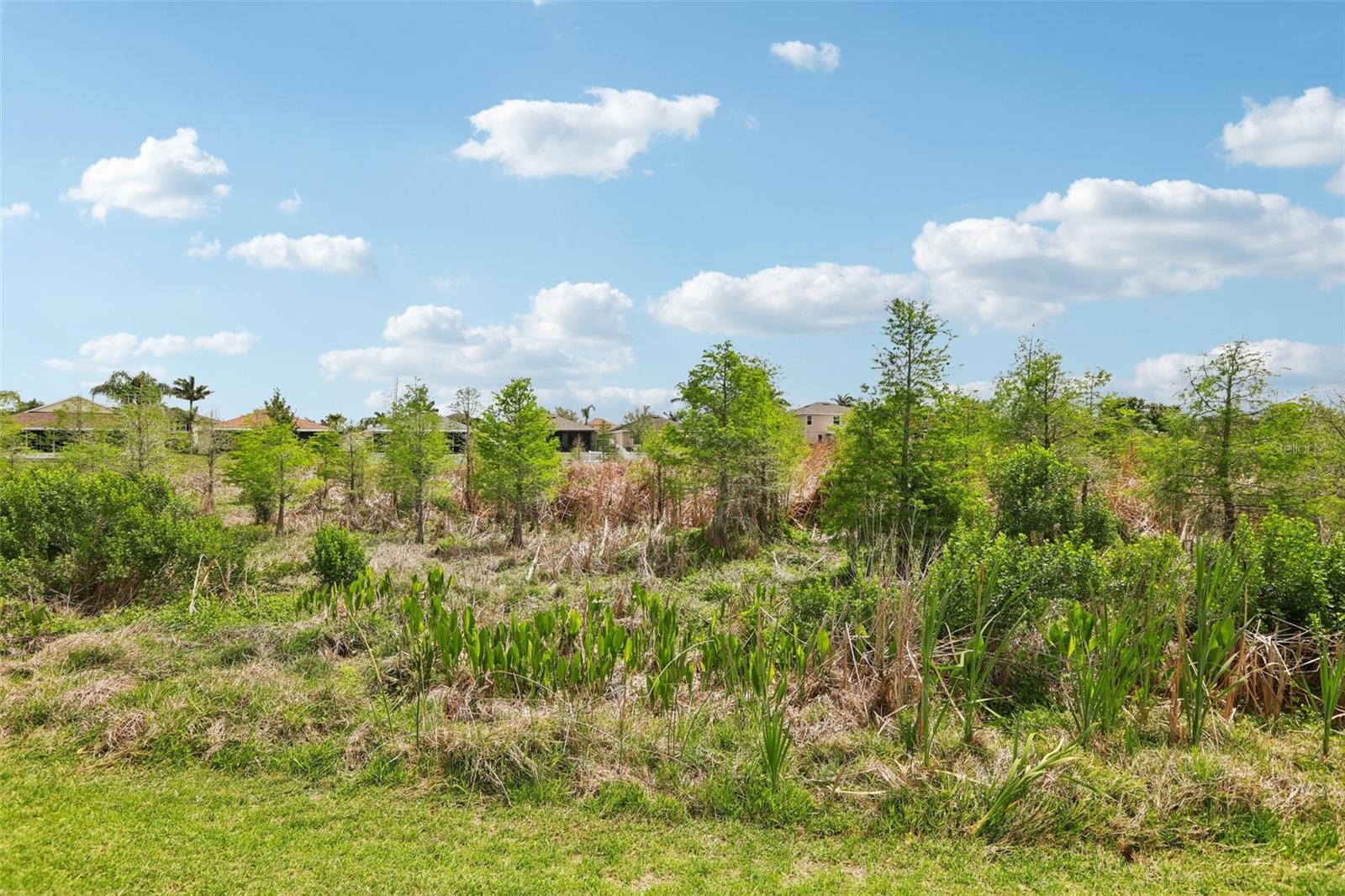 MIRA LAGO WEST - Residential