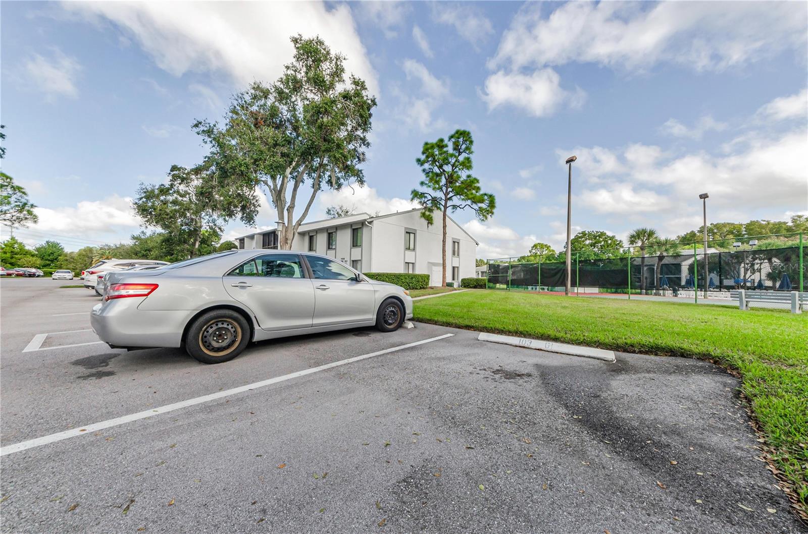 PINE RIDGE AT LAKE TARPON VILLAGE - Residential