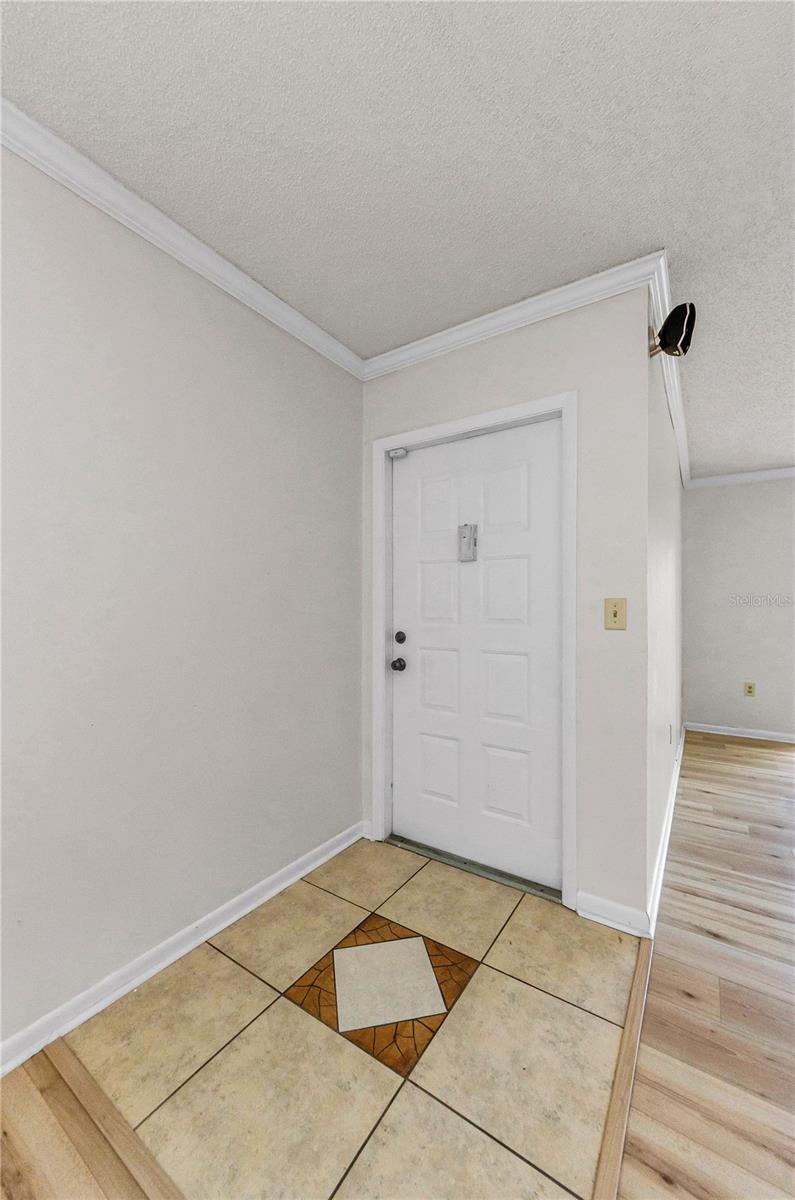 PINE RIDGE AT LAKE TARPON VILLAGE - Residential