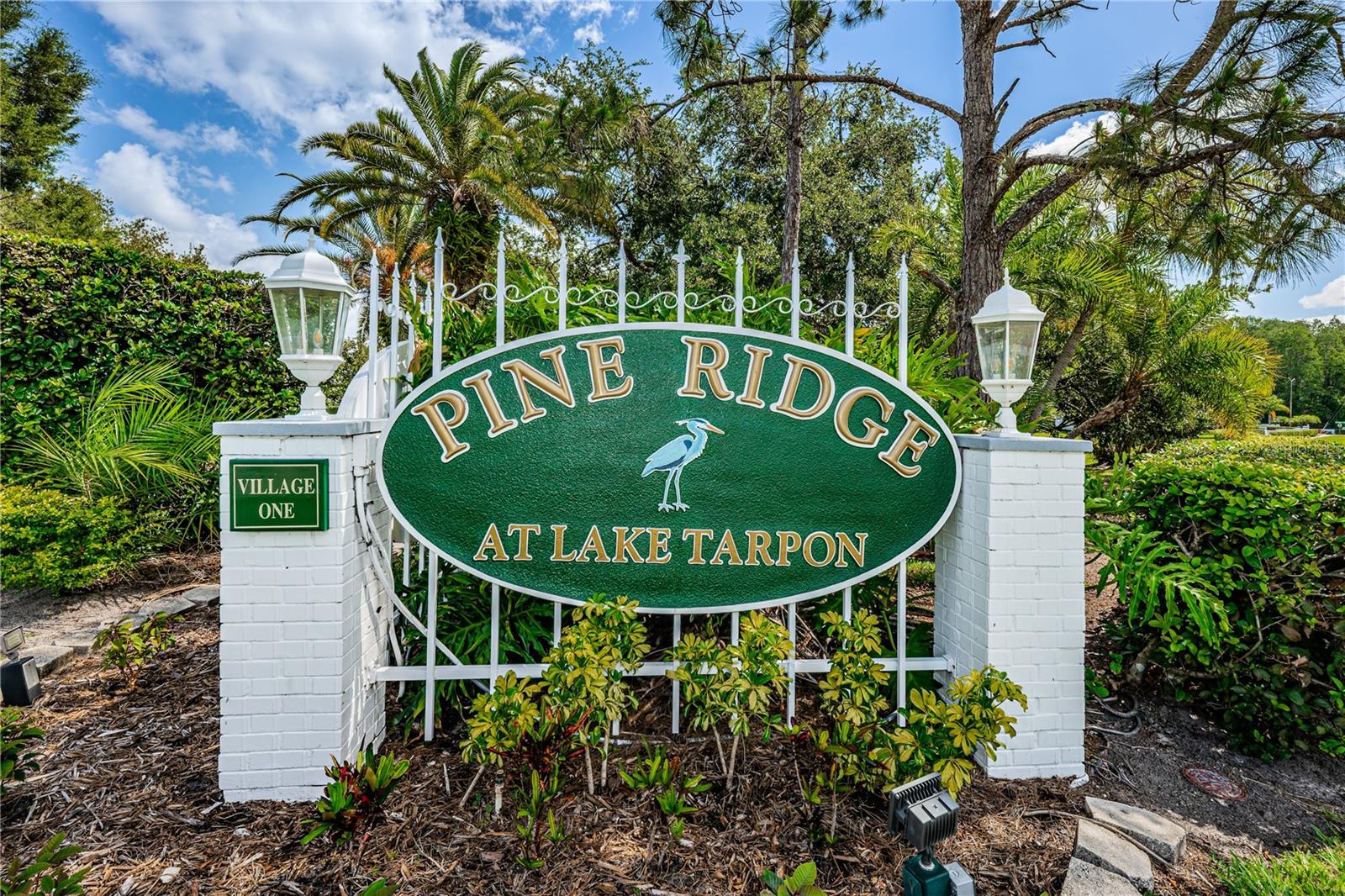 PINE RIDGE AT LAKE TARPON VILLAGE - Residential