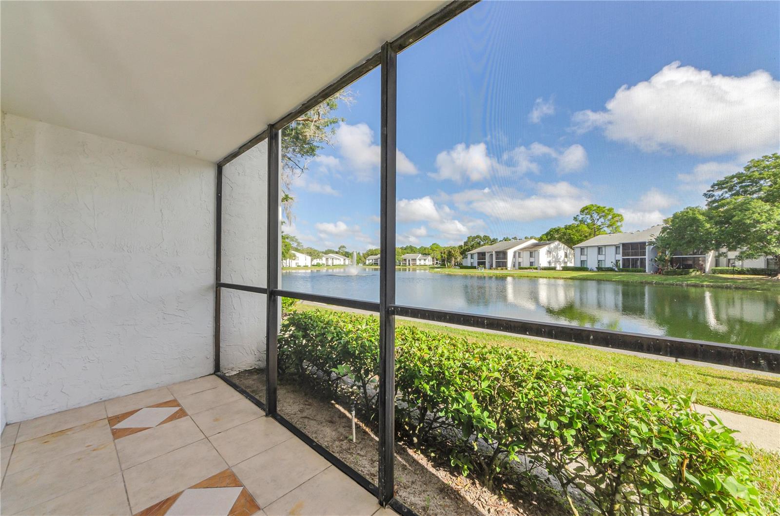 PINE RIDGE AT LAKE TARPON VILLAGE - Residential