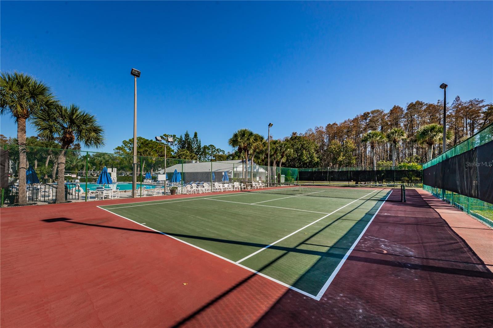 PINE RIDGE AT LAKE TARPON VILLAGE - Residential