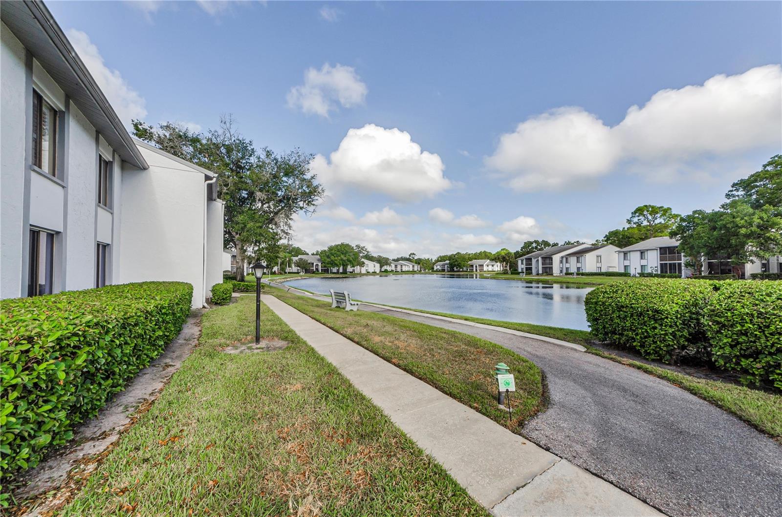 PINE RIDGE AT LAKE TARPON VILLAGE - Residential