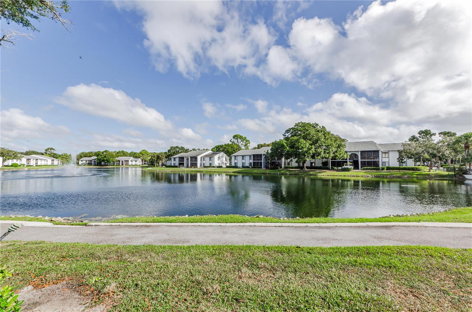 PINE RIDGE AT LAKE TARPON VILLAGE - Residential