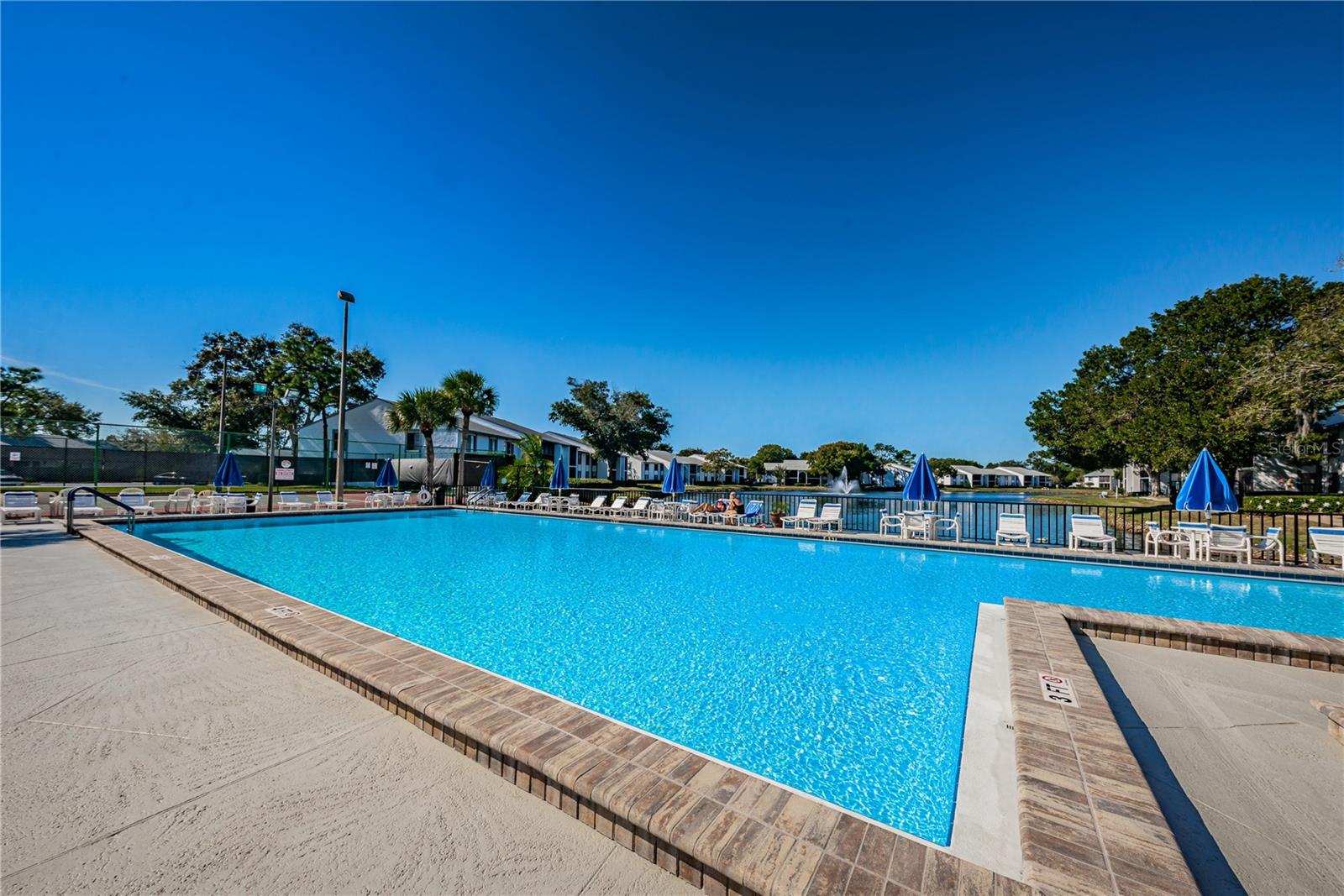 PINE RIDGE AT LAKE TARPON VILLAGE - Residential