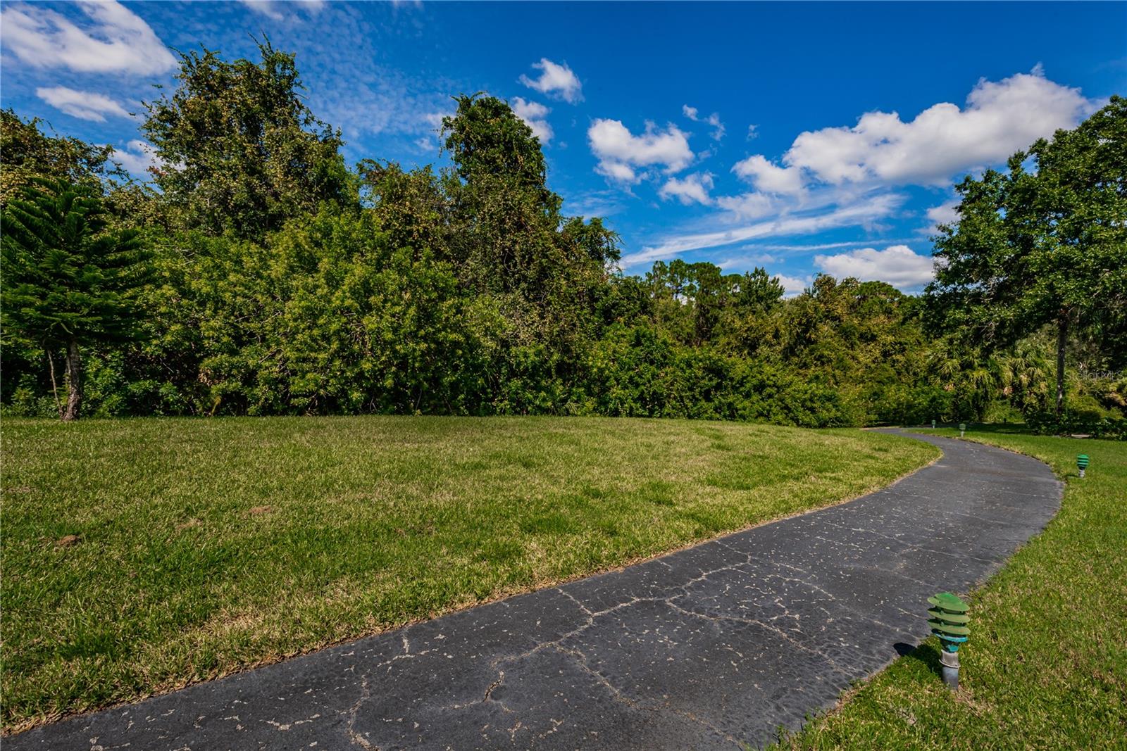 PINE RIDGE AT LAKE TARPON VILLAGE - Residential
