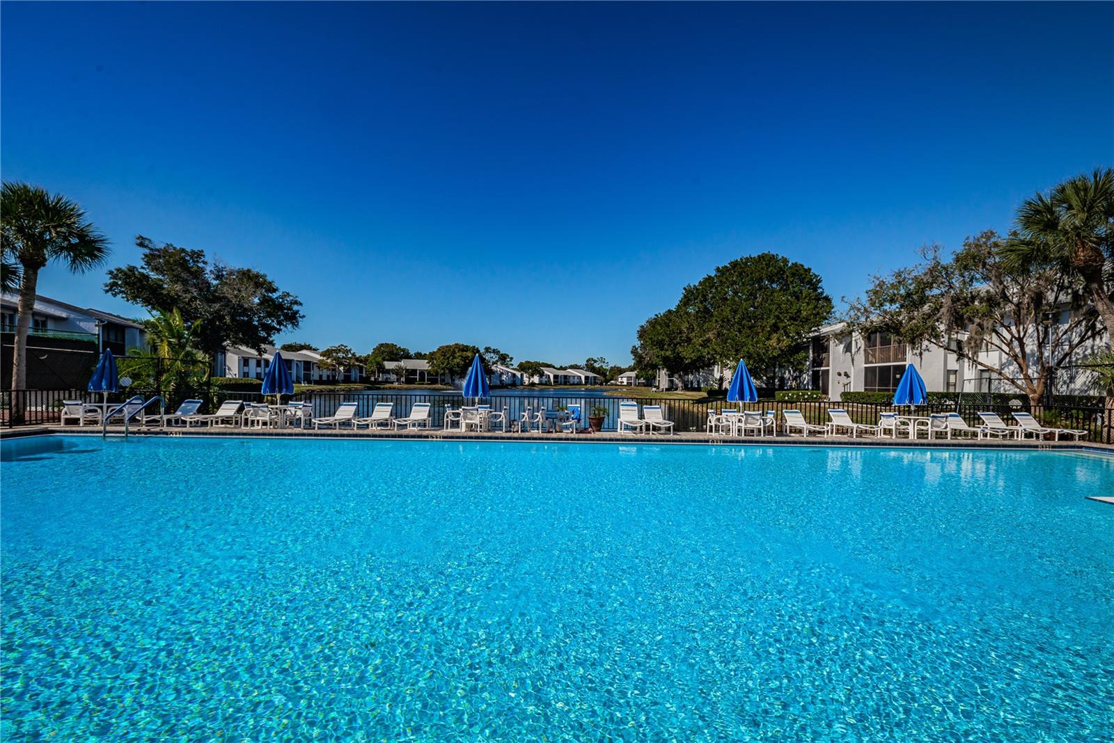 PINE RIDGE AT LAKE TARPON VILLAGE - Residential