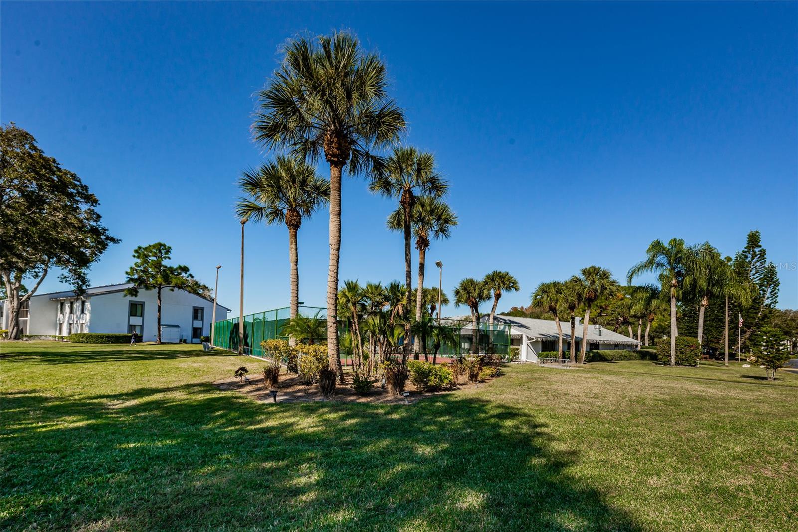 PINE RIDGE AT LAKE TARPON VILLAGE - Residential