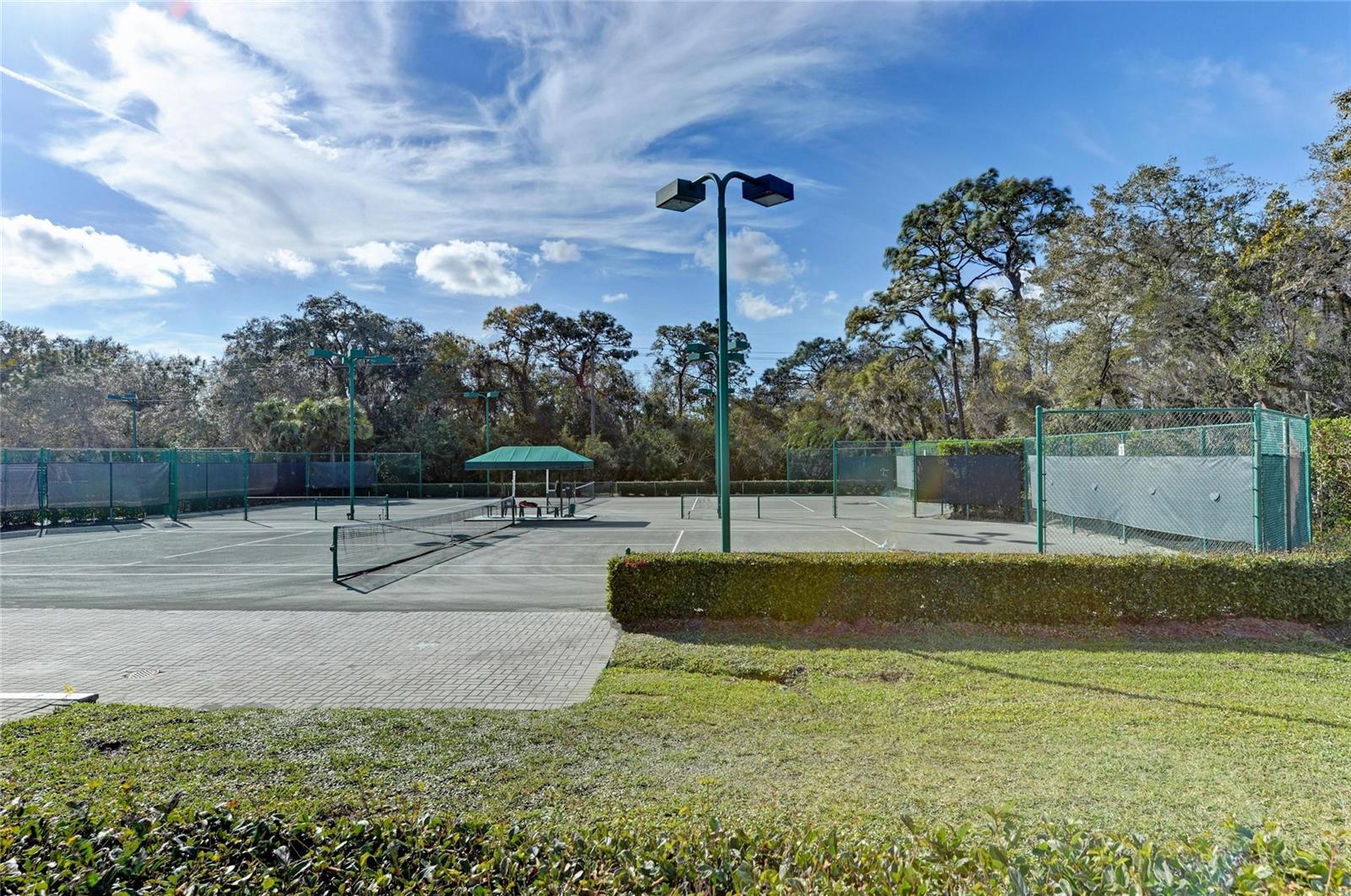 ROSEDALE 9 - Residential