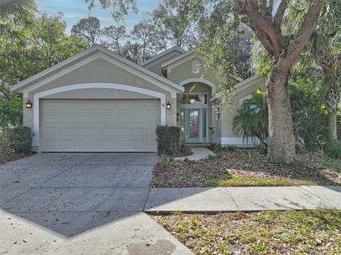 A home in PALM COAST