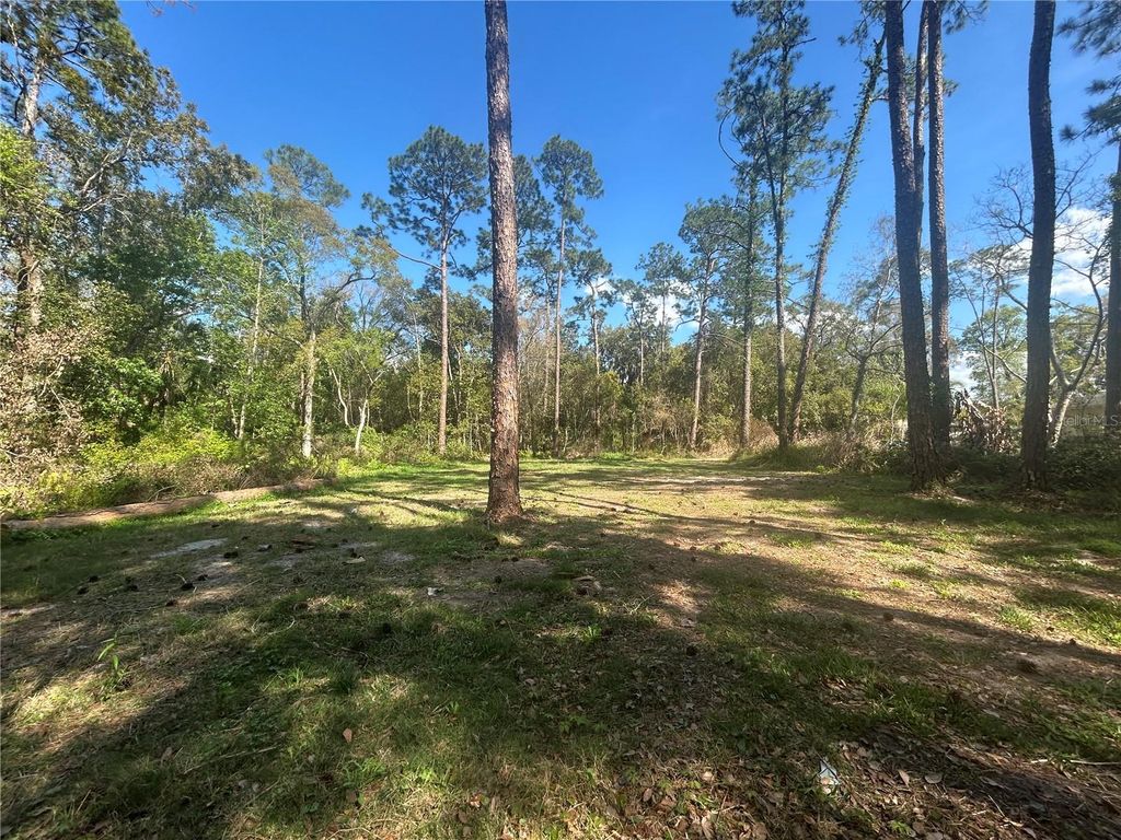 Photo of 2648 S Park Avenue, Sanford, FL 32773 (MLS # O6386574)