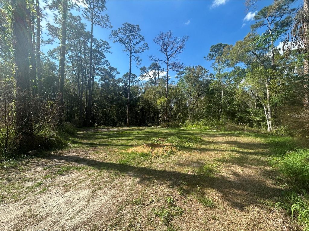 Photo of 2648 S Park Avenue, Sanford, FL 32773 (MLS # O6386574)