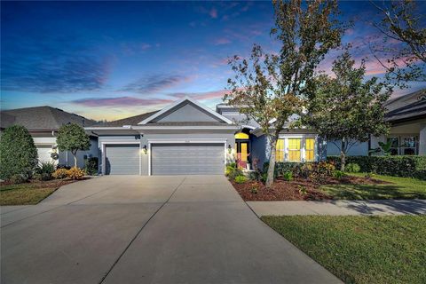 A home in APOLLO BEACH