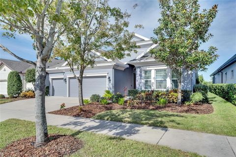 A home in APOLLO BEACH